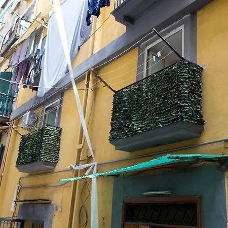 Domus Dei Gemelli *